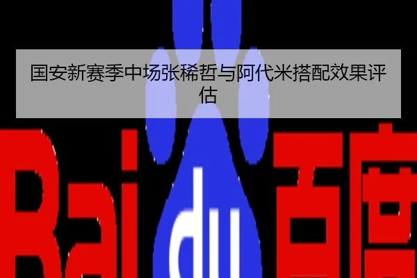 国安新赛季中场张稀哲与阿代米搭配效果评估